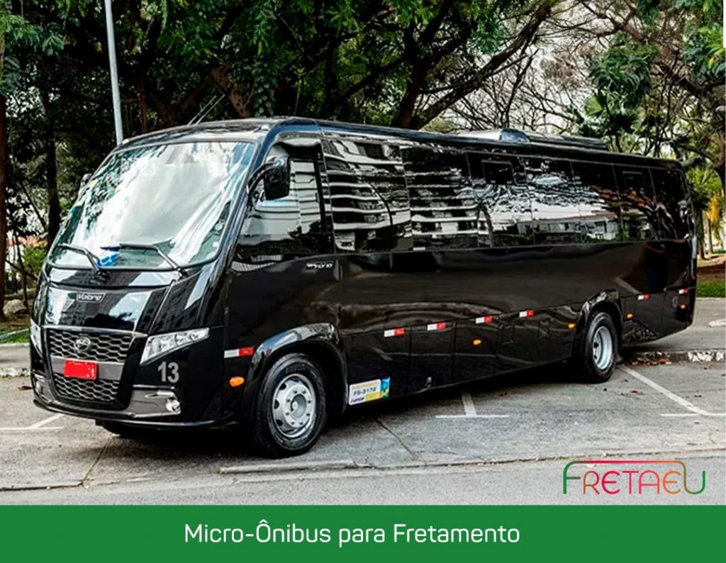 Micro ônibus: solução perfeita para grupos menores.